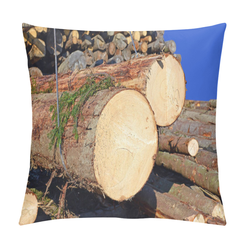 Personality  Preparation And Wood Warehousing In An Industrial Landscape. Pillow Covers