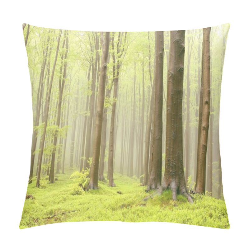 Personality  Misty Spring Forest Pillow Covers