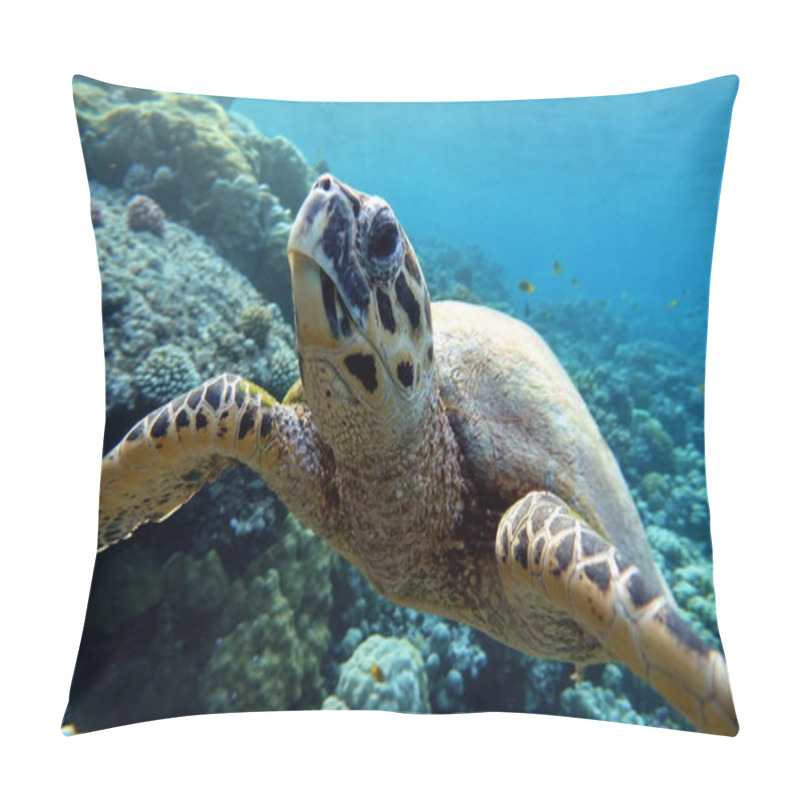 Personality  Sea Turtles . Great Reef Turtle .Bissa. Pillow Covers