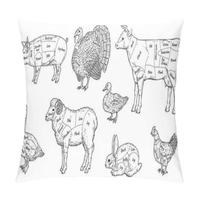 Personality  Animal Meat Cut Parts Set - Butcher Guide To Different Parts Of Farm Animals Pillow Covers