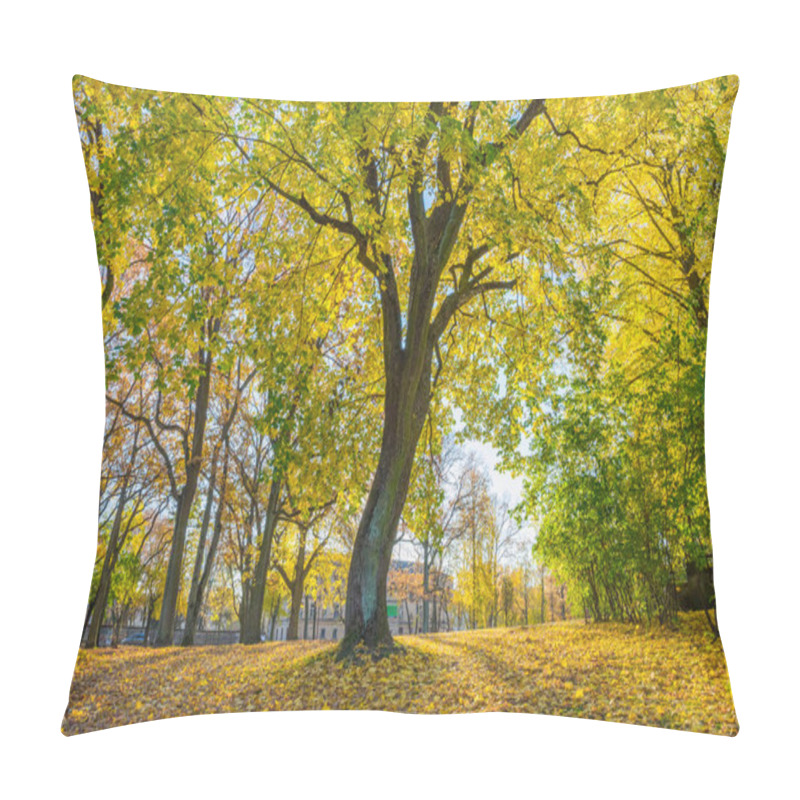 Personality  Arkadijas  Park In Riga, District Agenskalsns. Autumn, Yellow Tr Pillow Covers