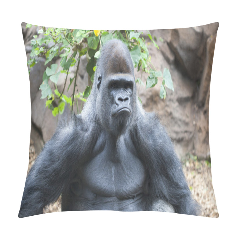 Personality  Gorilla Making A Serious Face Pillow Covers