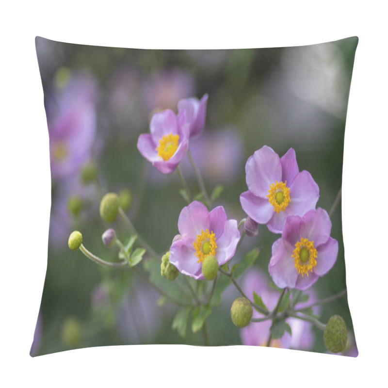 Personality  Anemone Hupehensis Japonica In Bloom, Beautiful Pink Flowering Park Ornamental Plant Pillow Covers