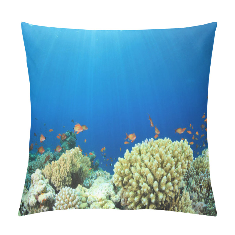 Personality  Marine Inhabitants In Deep Blue Ocean Pillow Covers