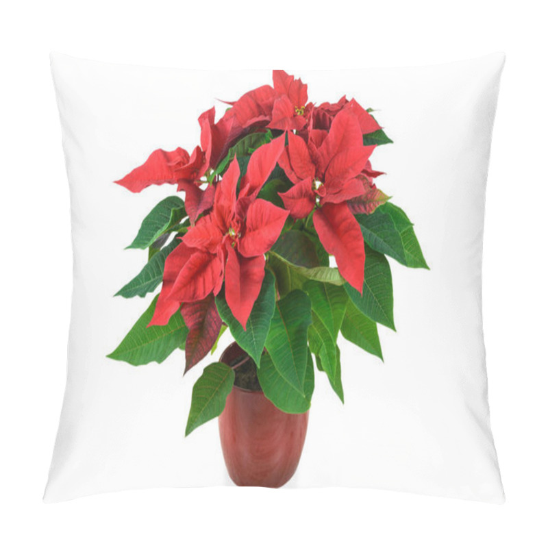 Personality  Red Christmas Poinsettia Pillow Covers