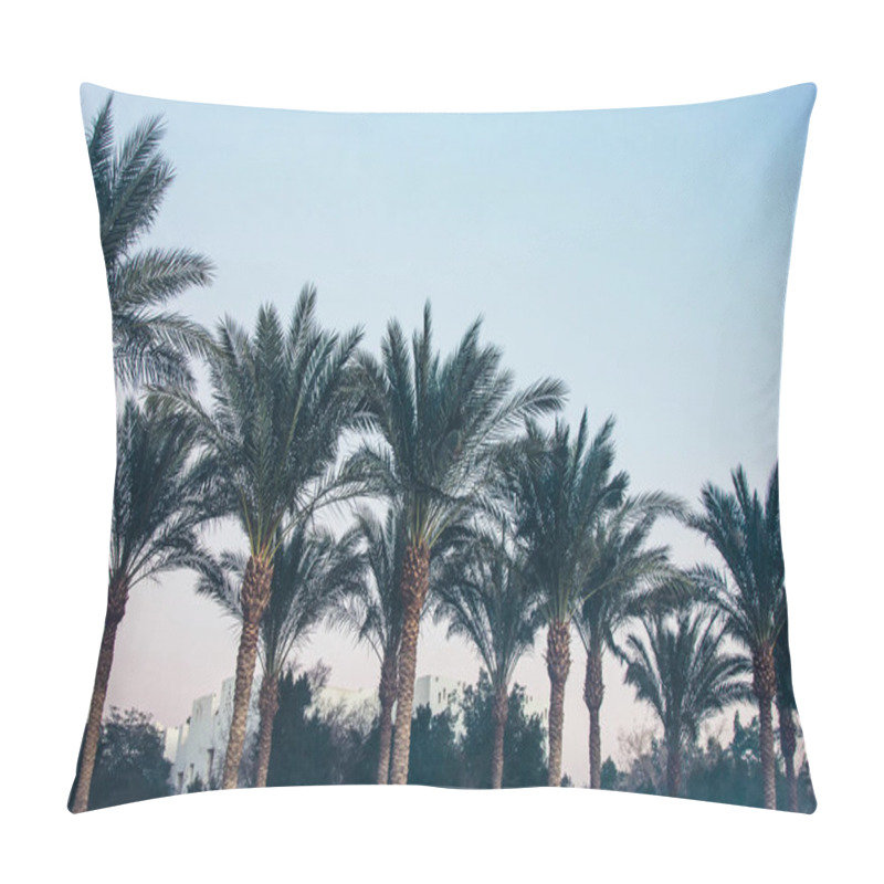 Personality  Palm Trees Pillow Covers