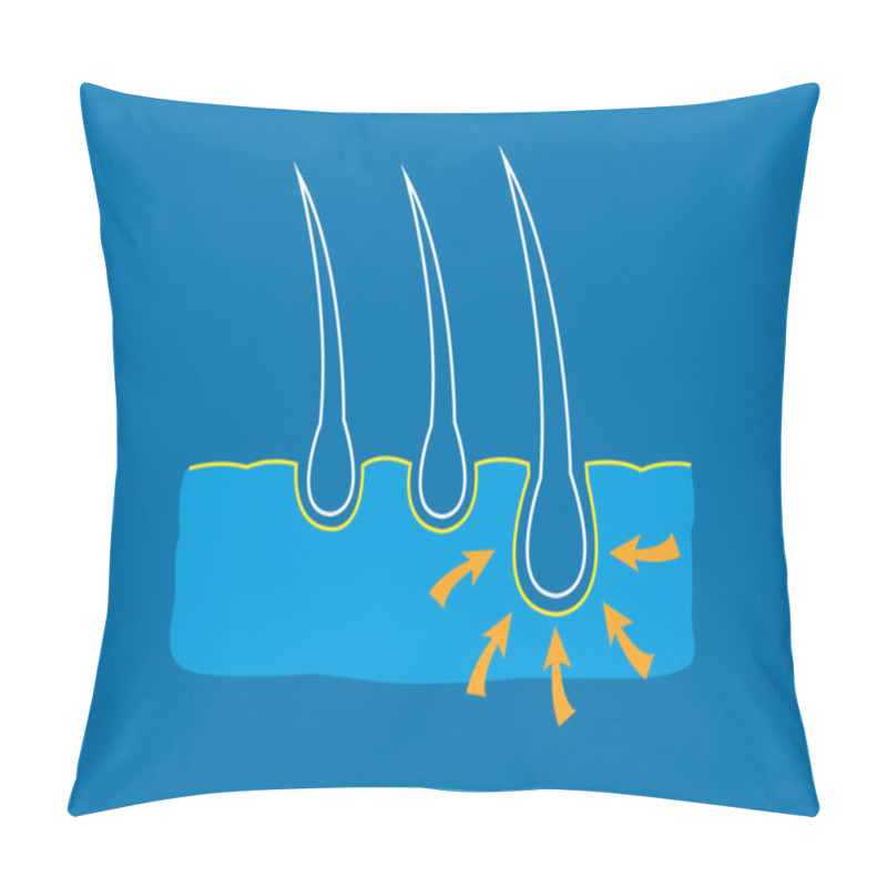 Personality  Hair Care, Surgery And Growth Nutrients Anatomy Diagram Concept. Editable Clip Art. Pillow Covers