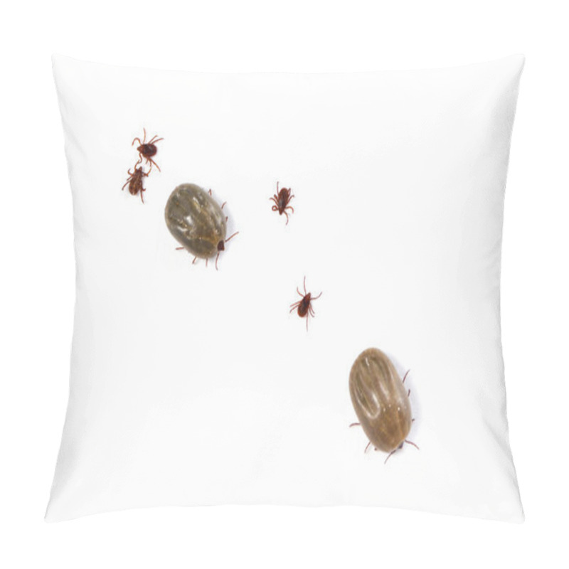 Personality  Male And Female Ticks On White Background Pillow Covers