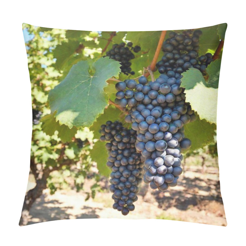 Personality  A High-resolution Ultrarealistic Image Captures A Lush Vineyard Scene, Rendered In Crisp Digital Photography. The Focal Point Is A Thick, Gnarled Grapevine Branch From Which Clusters Of Deep Purple Grapes Hang Heavily, Almost Ready For Harvest Pillow Covers