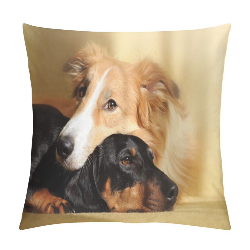 Personality  Two Cute Dog Dreaming Pillow Covers