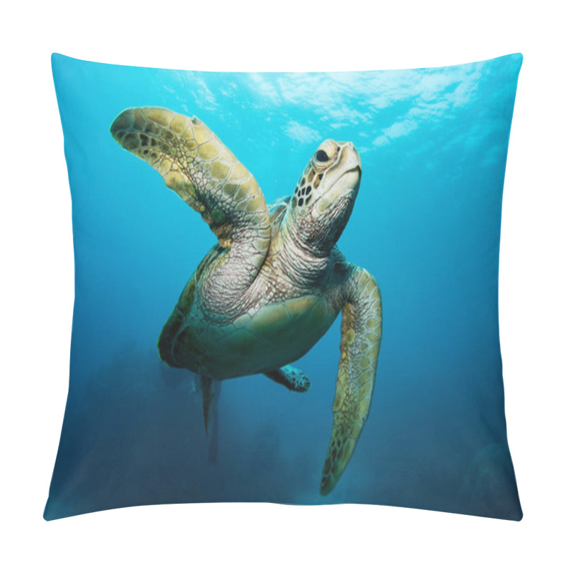 Personality  Sea Turtle Swimming In Blue Ocean Pillow Covers