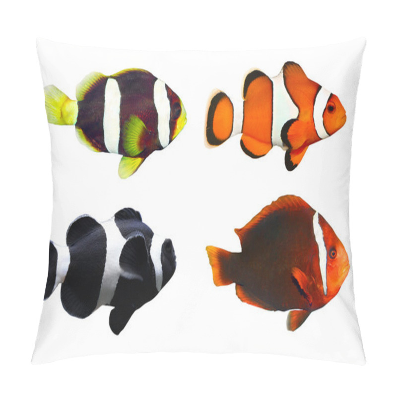 Personality  The Clownfish . Pillow Covers