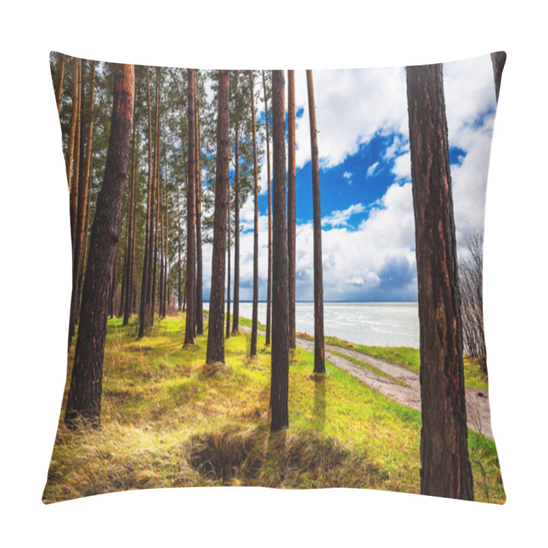 Personality  Pines On The Shore Of The Ob Sea. Novosibirsk Region, Ob Reservoir, Western Siberia, Russia Pillow Covers