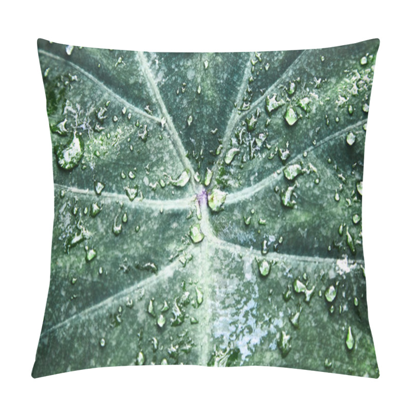 Personality  Drops Of Water On The Sheet. Plantain. Green Tropical Leaves. Pattern. Close-up. Background. Pillow Covers