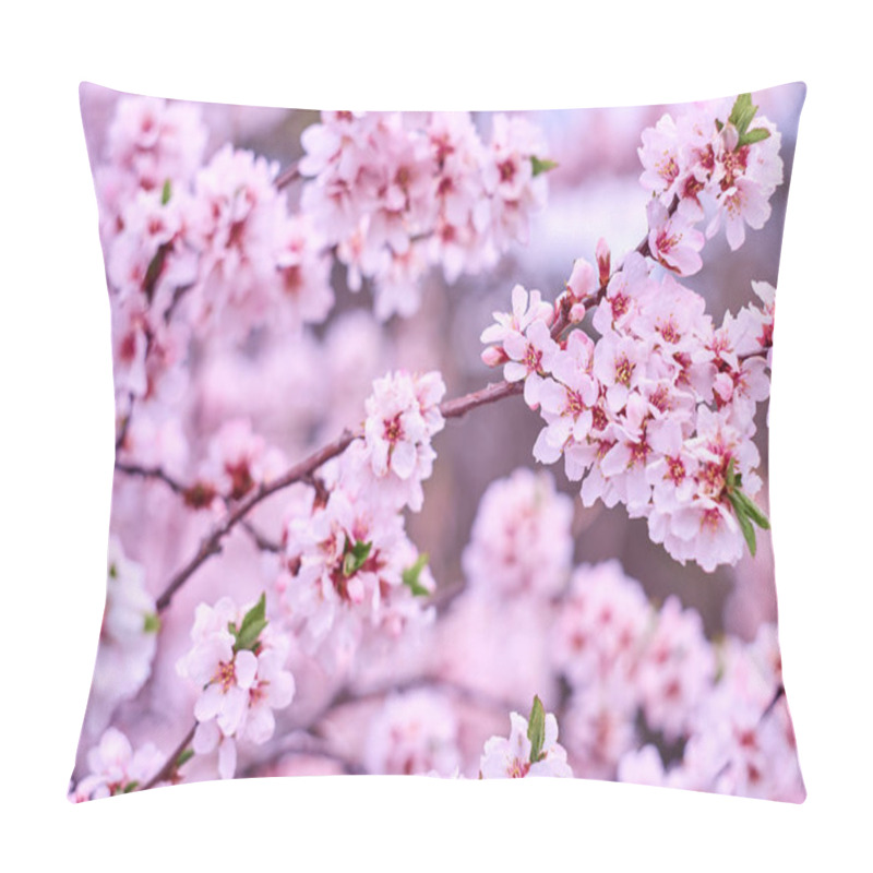 Personality  Blooming Sakura Tree Branches. Blurred Backgroud. Pillow Covers