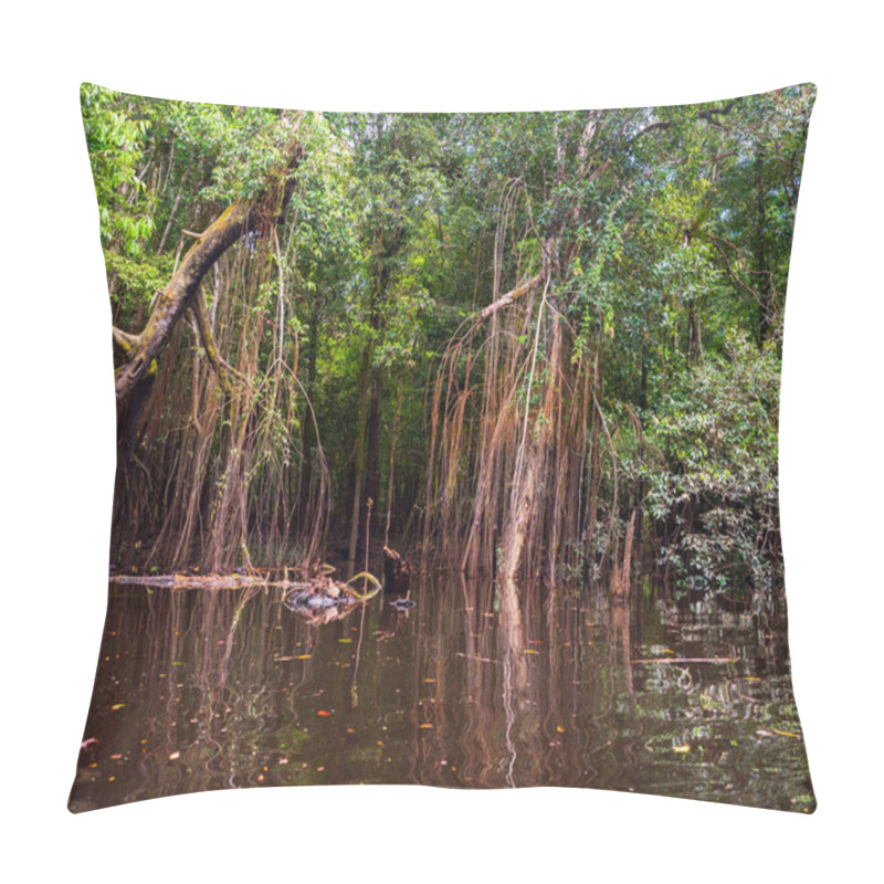 Personality  Magic Amazonia. Trees In The Water In The Rainforest During High Water Season. Javari River, Tributary Of The Amazon River. Selva On The Border Between Brazil And Peru. South America. Pillow Covers