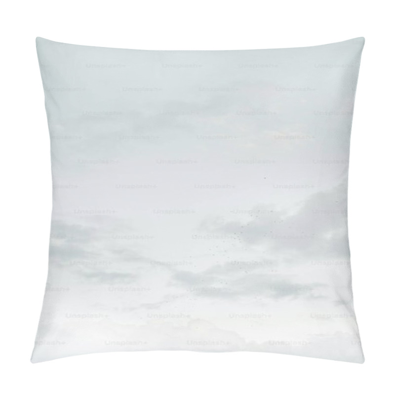 Personality  Soft, Cloudy Sky With Hints Of Blue And Scattered Birds In Flight. Pillow Covers