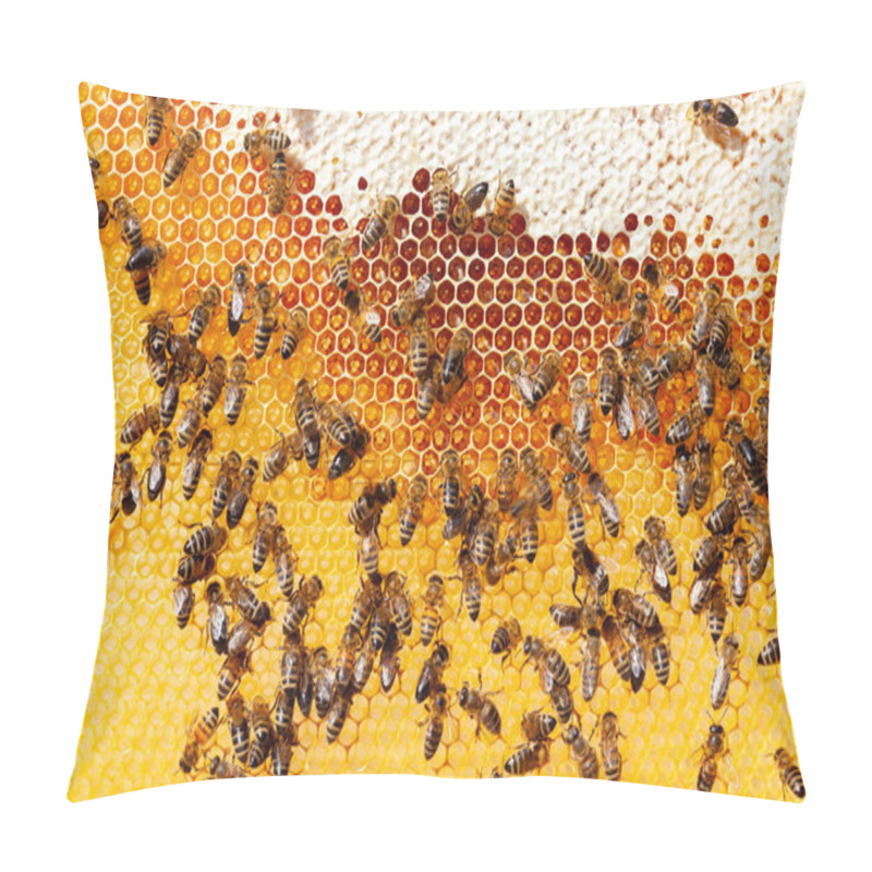 Personality  Bees On Honeycomb Pillow Covers