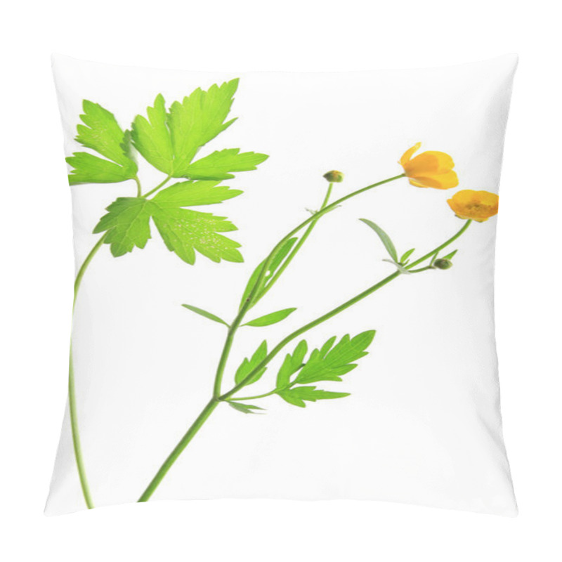 Personality  Buttercup (Ranunculus Acris) Pillow Covers