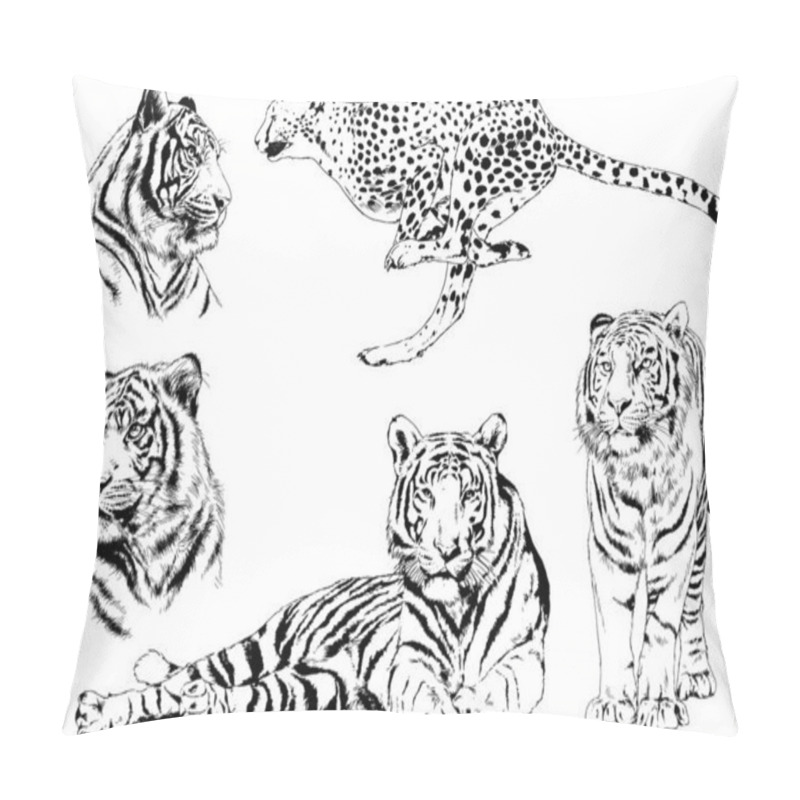 Personality  Vector Drawings Sketches Different Predator , Tigers Lions Cheetahs And Leopards Are Drawn In Ink By Hand , Objects With No Background Pillow Covers