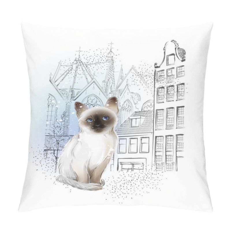 Personality  Lonely Thai Kitten Waiting For The Owners In Winter City Pillow Covers