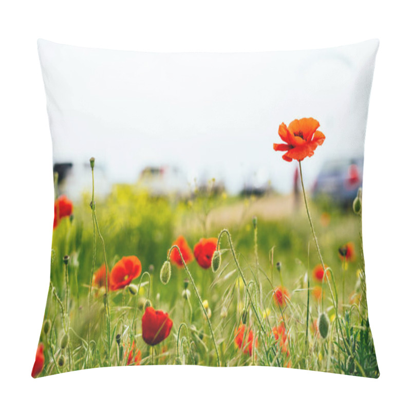 Personality  Field Of Red Poppies On A Green Background Pillow Covers