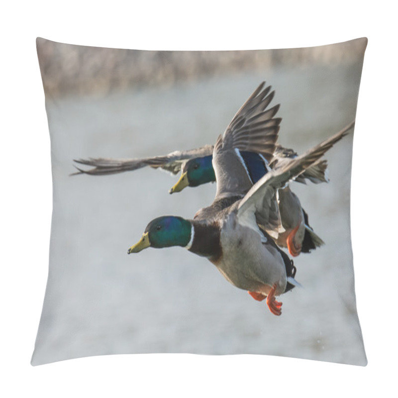 Personality  Ducks Flying Over A Lake Pillow Covers