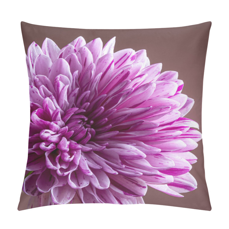 Personality  Closeup Of A Purple Chrysanthemum Pillow Covers