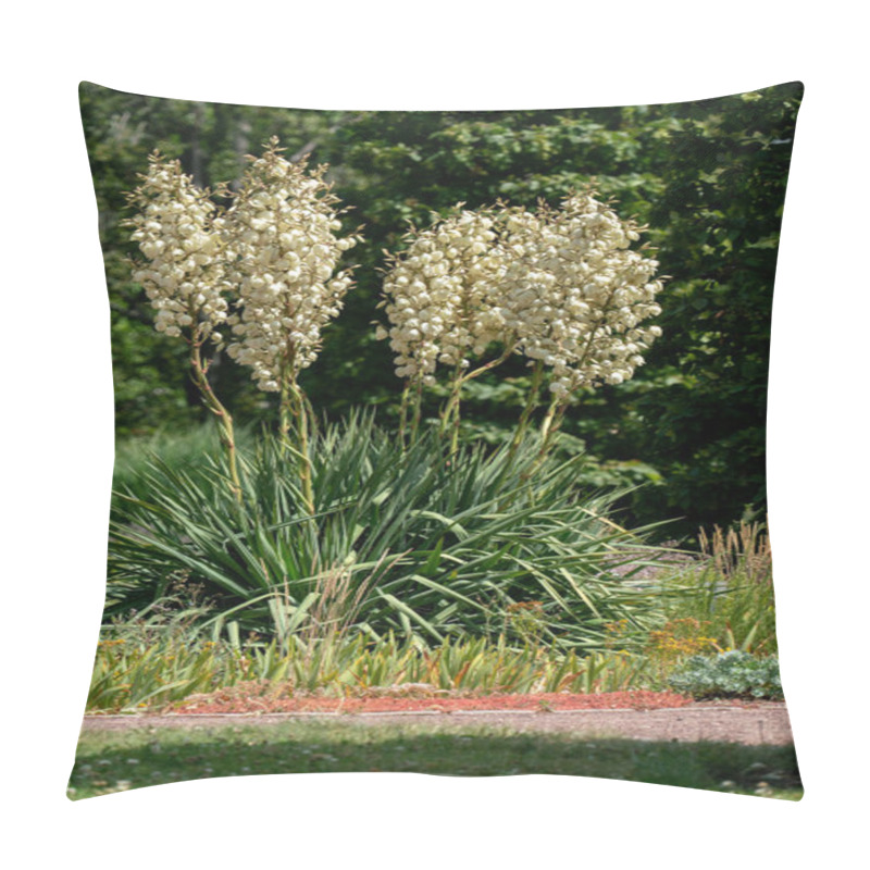 Personality  Yucca Filementosa Blooming In Bright Sunshine Pillow Covers