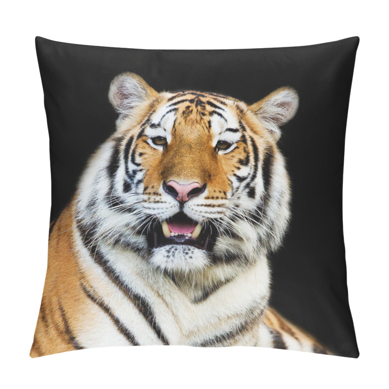 Personality  Close Up Tiger Pillow Covers