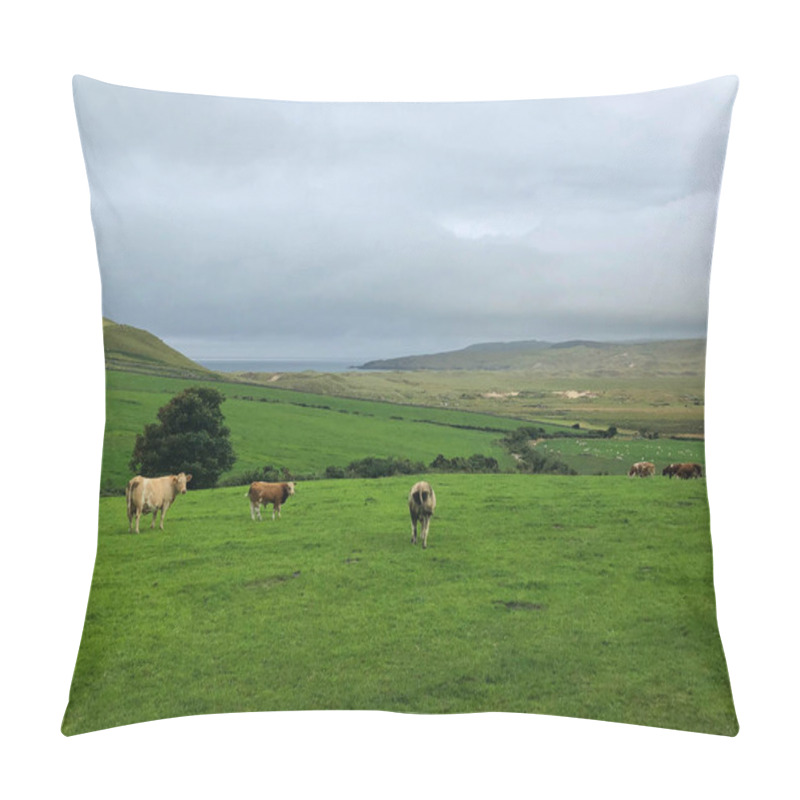 Personality  On The Pasture In Dunfanaghy, Ireland. Wild Atlantic Way Pillow Covers