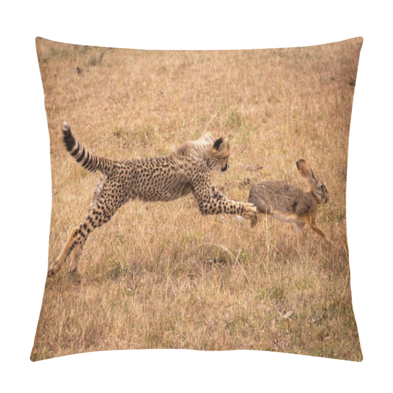 Personality  Cheetah Cub Jumps To Catch Scrub Hare Pillow Covers