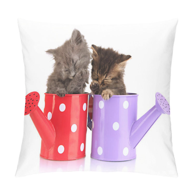 Personality  Small Kittens Sitting In Watering Can Isolated On White Pillow Covers