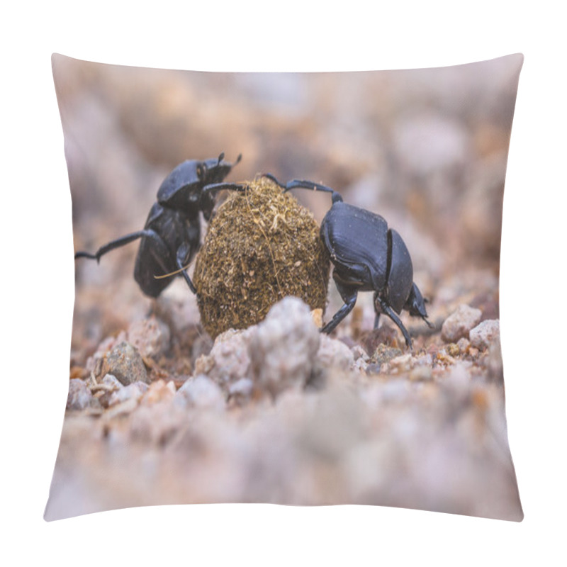 Personality  Two Moiling Strong Dung Beetles Pillow Covers