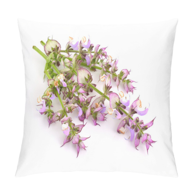 Personality  Salvia Sclarea, Clary, Or Clary Sage Pillow Covers