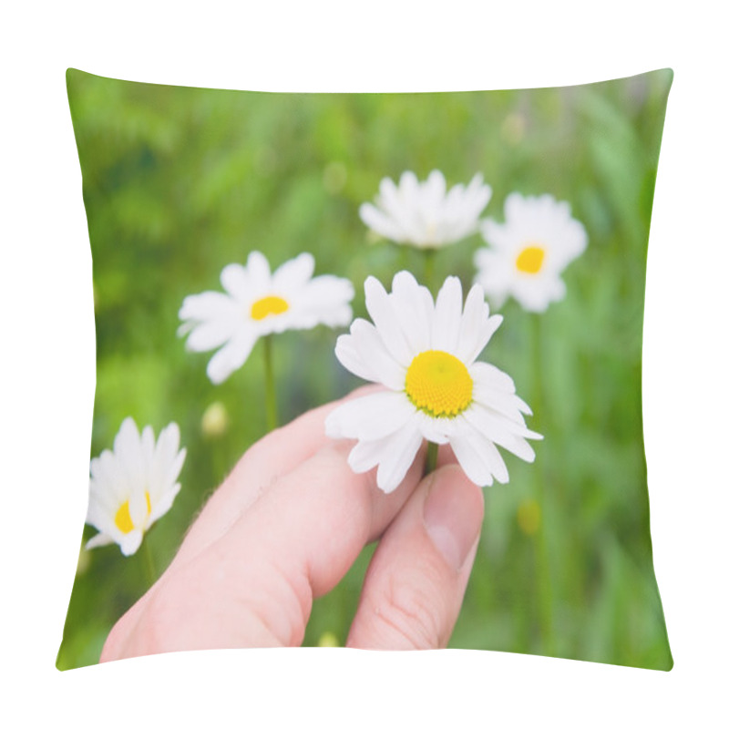 Personality  Camomile Flowers In Hand Pillow Covers