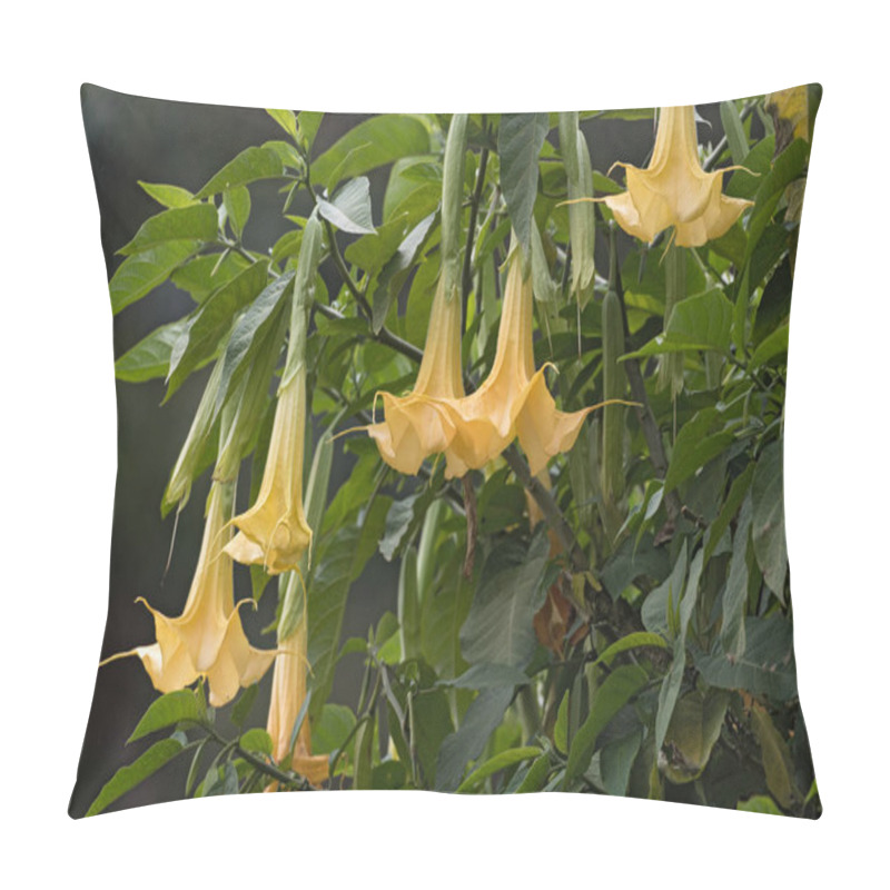 Personality  Many Yellow Brugmansia Named Angels Trumpet Or Datura Flower Blossom Pillow Covers