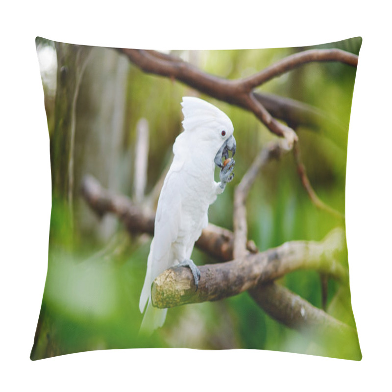 Personality  White Cockatoo Parrot On A Branch Pillow Covers