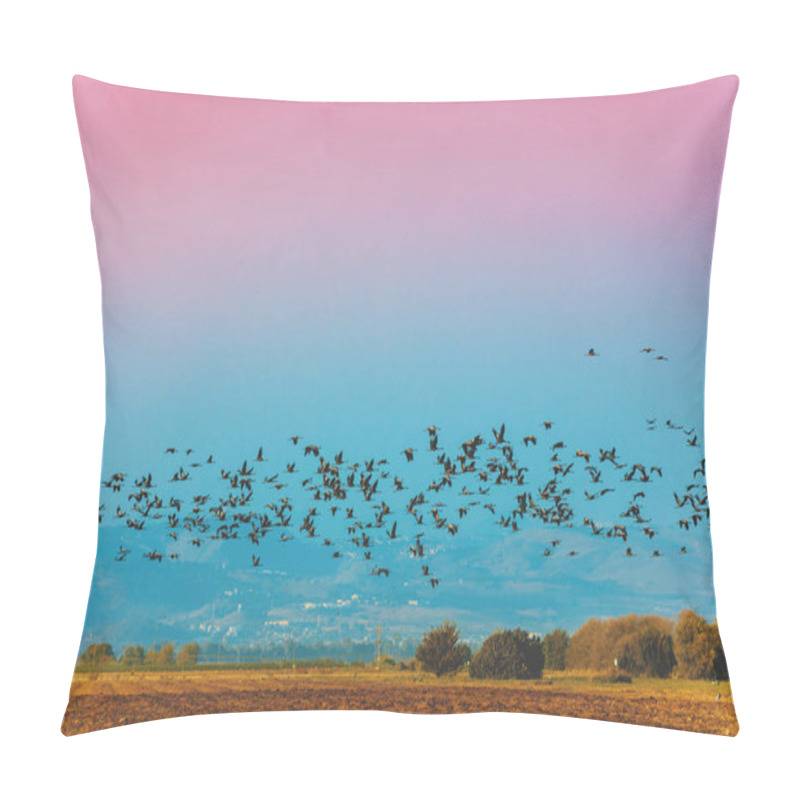 Personality  A Flock Of Flying Birds In Agamon HaHula Nature Reserve In The Evening. Hula Valley In Northern Israel At Sunset Pillow Covers