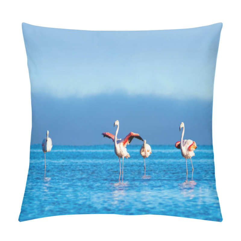 Personality  Wild African Birds. Group Birds Of Pink African Flamingos  Walking Around The Blue Lagoon On A Sunny Day Pillow Covers