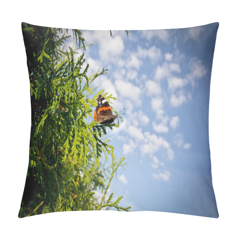 Personality  Butterfly On A Hedge Pillow Covers