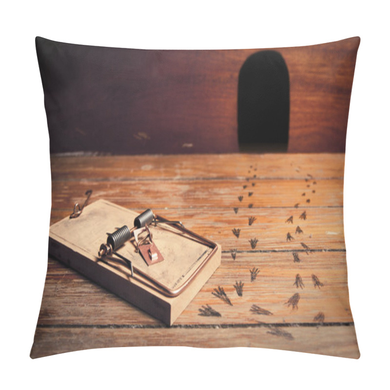 Personality  Photo Of Activated Mousetrap Outside Mouse House Pillow Covers