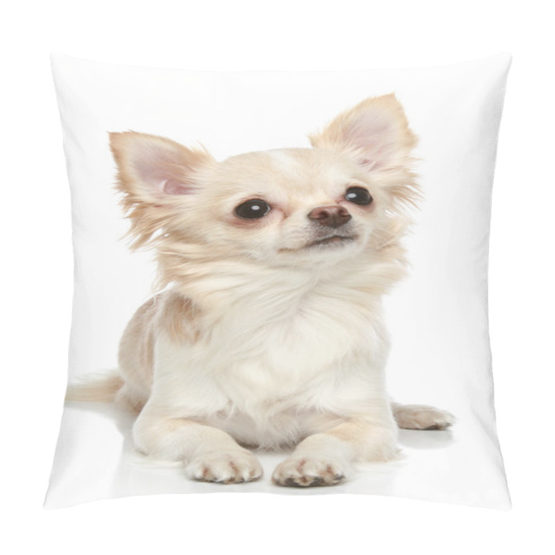 Personality  Long Coat Chihuahua On A White Background Pillow Covers