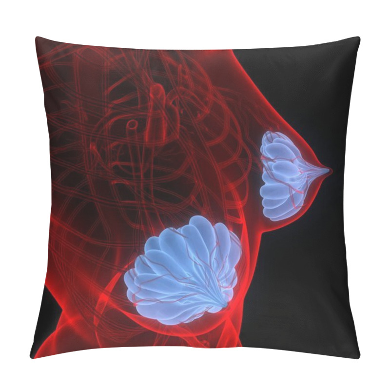 Personality  Mammary Glands Are Part Of Female Body Internal Organs Anatomy. 3D Pillow Covers