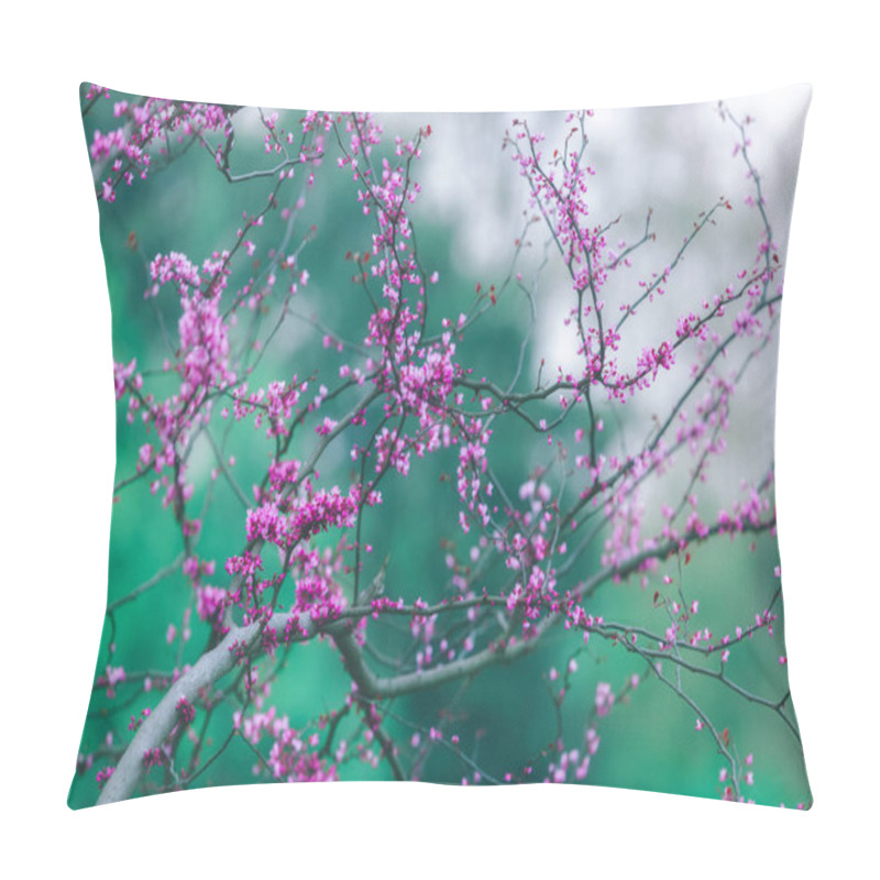 Personality  Purple Flowers Of Cercis Canadensis On Bright Emerald Green Background Pillow Covers