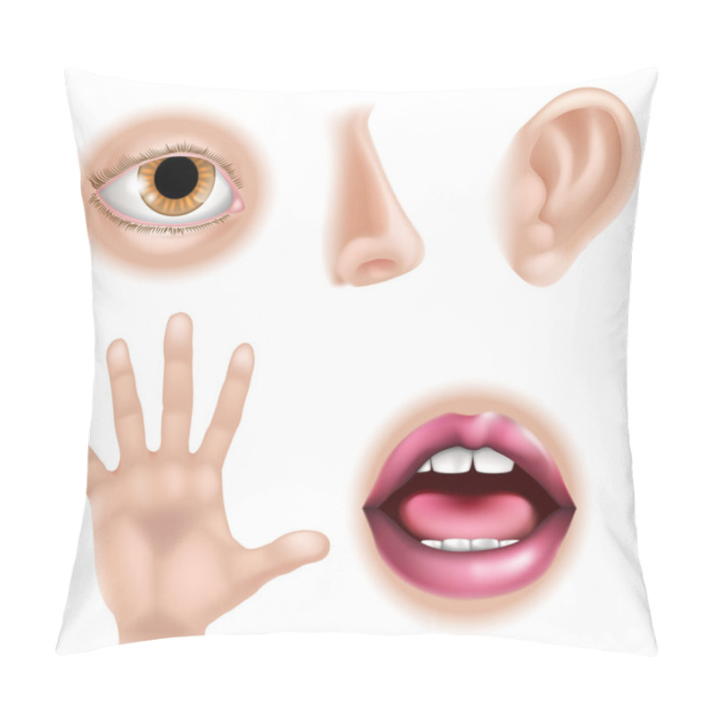 Personality  Five Senses Body Parts Pillow Covers