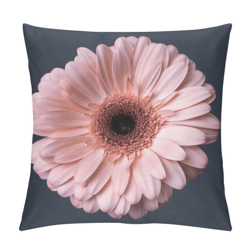 Personality  Fresh Pink Cream Gerbera Flowers On A Decorative Gray Background Pillow Covers