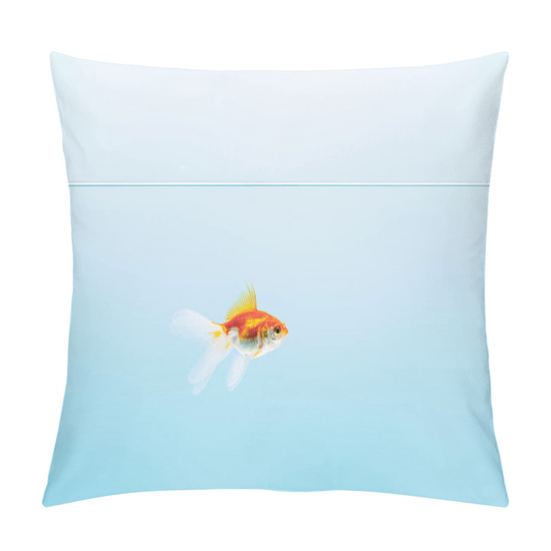 Personality  Transparent Pure Calm Water With Goldfish On Blue Background Pillow Covers