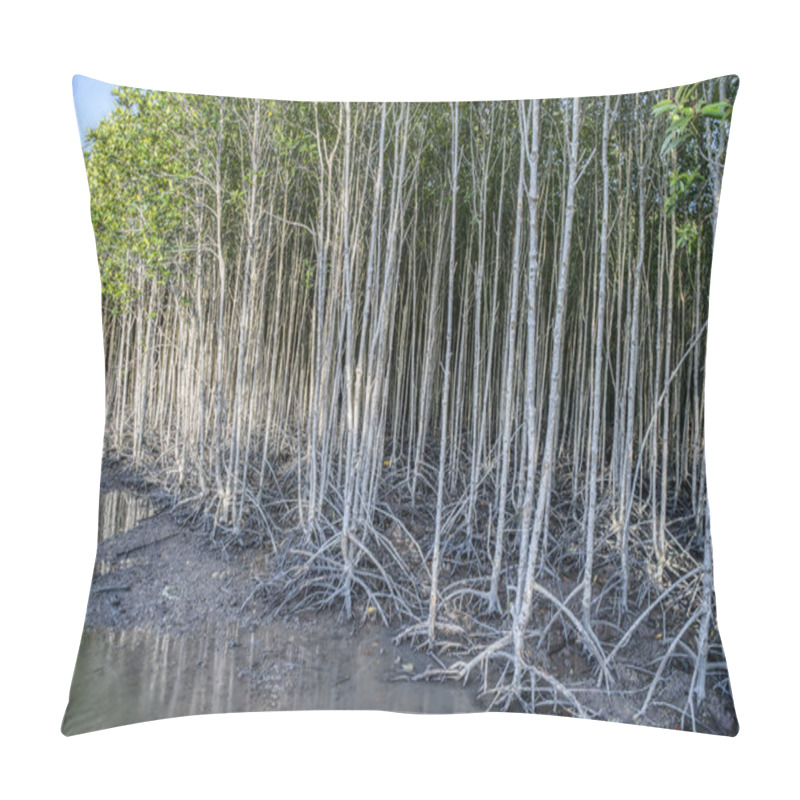 Personality  Cultivation Of Young Mangrove Trees By The Swampy Beach Pillow Covers