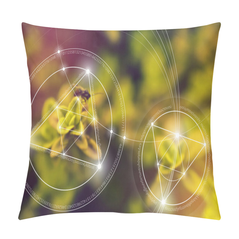 Personality  Sacred Geometry. Mathematics, Nature, And Spirituality In Nature. The Formula Of Nature. There Is No Beginning And No End Of The Universe, And No Beginning And No End Of The Life. Pillow Covers